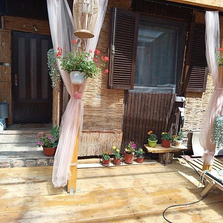Apartmán Kucica Za Odmor Lena I Matija Sremski Karlovci Exteriér fotografie